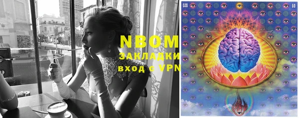 ГАЛЛЮЦИНОГЕННЫЕ ГРИБЫ Магас