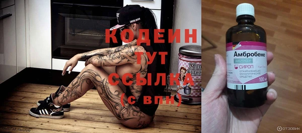 дмт Медвежьегорск