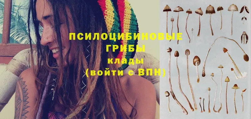 хочу   hydra ссылка  Галлюциногенные грибы MAGIC MUSHROOMS  Биробиджан 