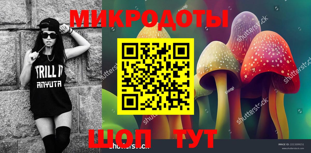 Галлюциногенные грибы Cubensis Биробиджан